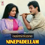 Naan Pesa Ninaipathellam Movie Poster - Tamil Movie Songs