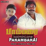 Parambarai movie poster